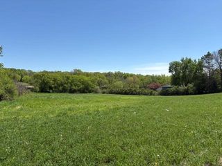 TBD Highway 55, Rockford Twp, MN 55313