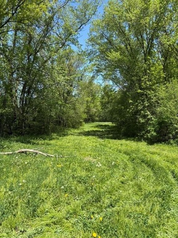 TBD Highway 55, Rockford Twp, MN 55313 — photo 3