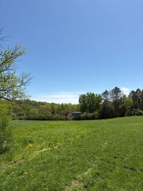 TBD Highway 55, Rockford Twp, MN 55313 — photo 4