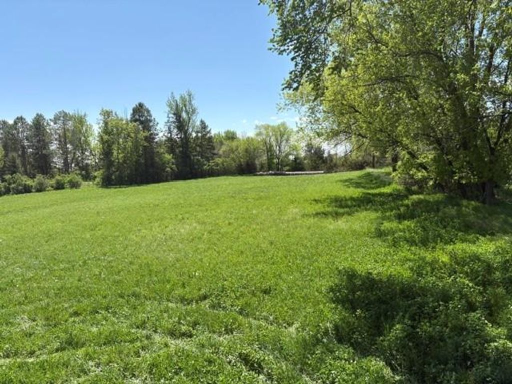 TBD Highway 55, Rockford Twp, MN 55313 — photo 5