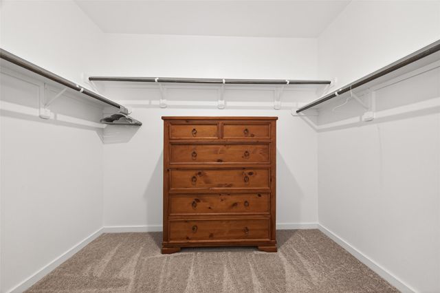 17681 Tree Of Heaven, Conroe, TX 77385