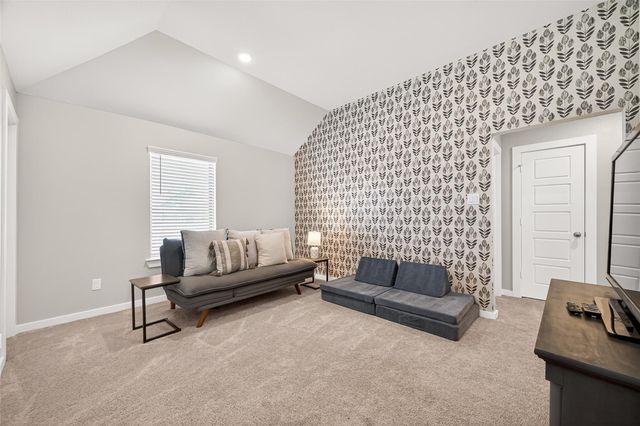 17681 Tree Of Heaven, Conroe, TX 77385