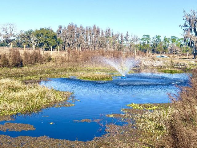8206 BACK ROAD, Plant City, FL 33565