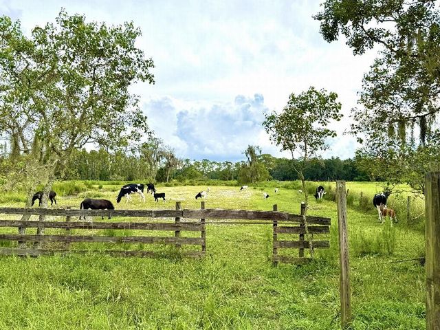 8206 BACK ROAD, Plant City, FL 33565
