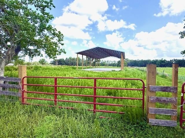 8206 BACK ROAD, Plant City, FL 33565
