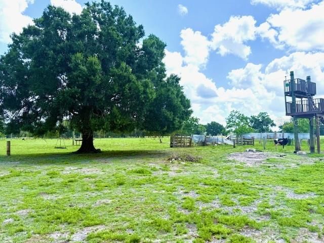 8206 BACK ROAD, Plant City, FL 33565