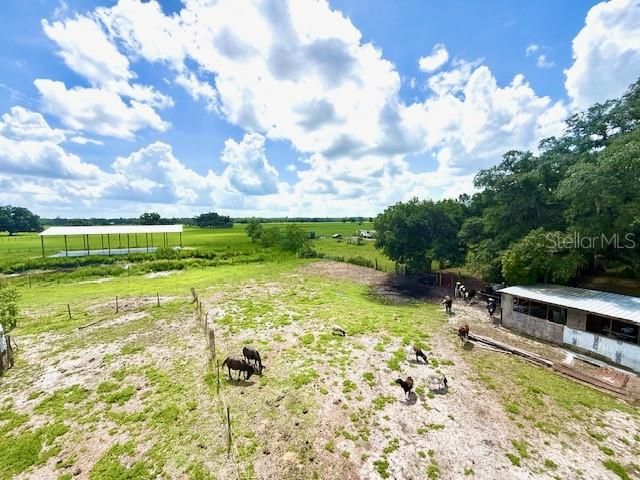 8206 BACK ROAD, Plant City, FL 33565