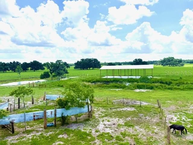 8206 BACK ROAD, Plant City, FL 33565
