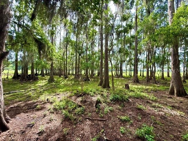 8206 BACK ROAD, Plant City, FL 33565