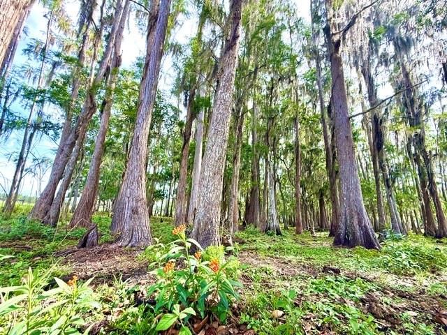 8206 BACK ROAD, Plant City, FL 33565