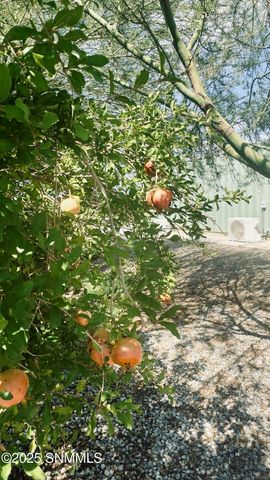 409 Palm Avenue, Las Cruces, NM 88001