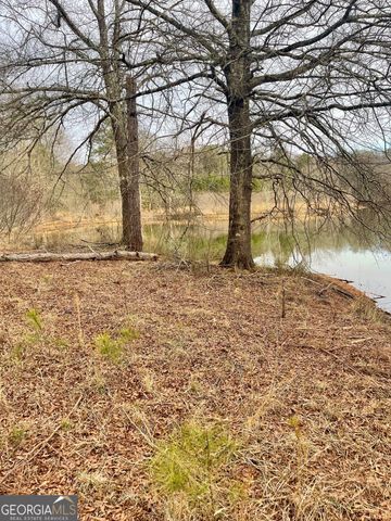 0 Padgett Road LOT 11, Senoia, GA 30276