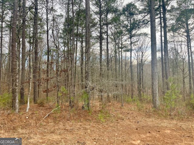 0 Padgett Road LOT 11, Senoia, GA 30276