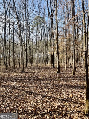 0 Padgett Road LOT 11, Senoia, GA 30276