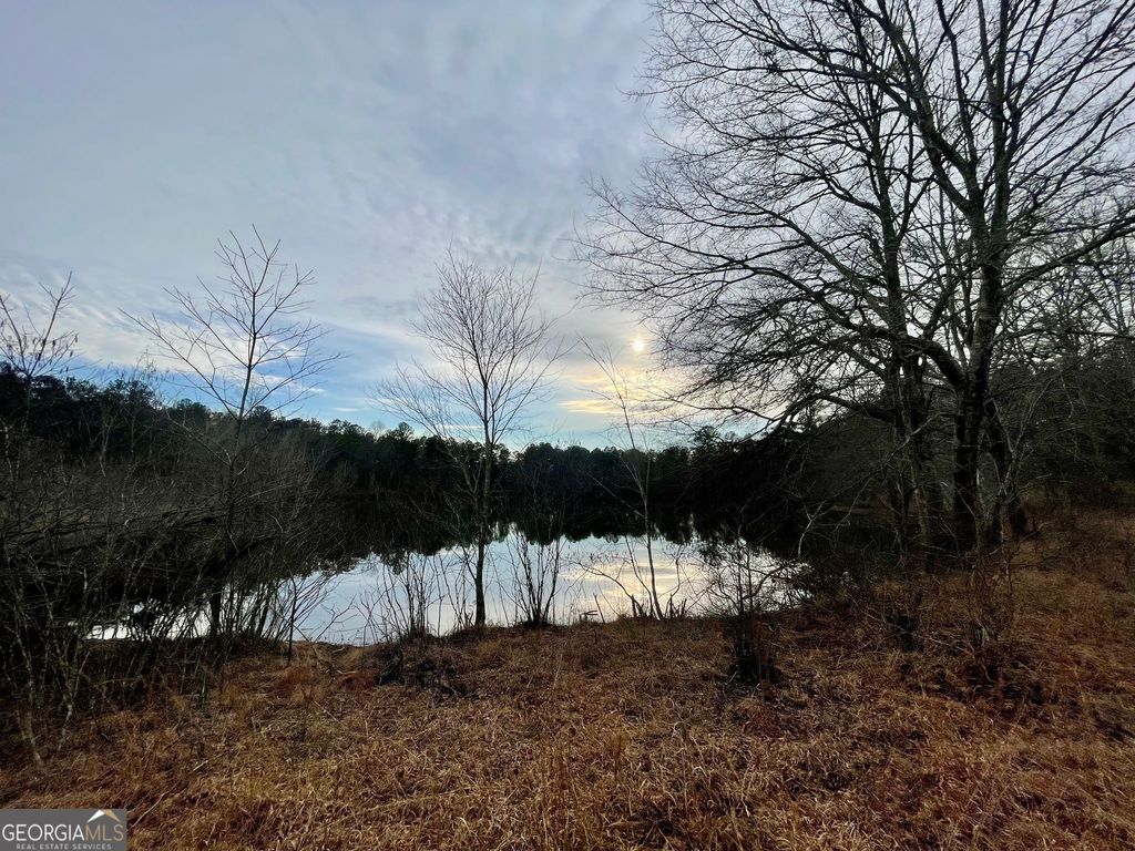 0 Padgett Road LOT 11, Senoia, GA 30276