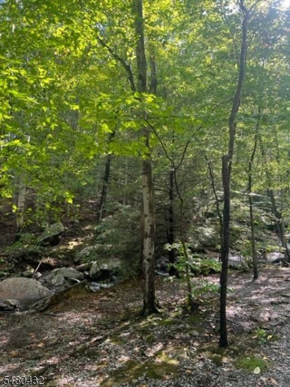 0 U.S. 46, Mine Hill Twp., NJ 07803 — photo 2