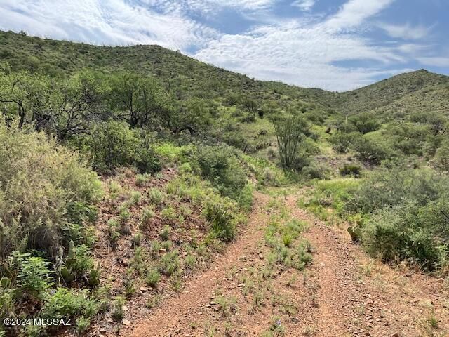 S Goodenough Trail Lot 2, Vail, AZ 85641