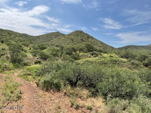 S Goodenough Trail Lot 2, Vail, AZ 85641