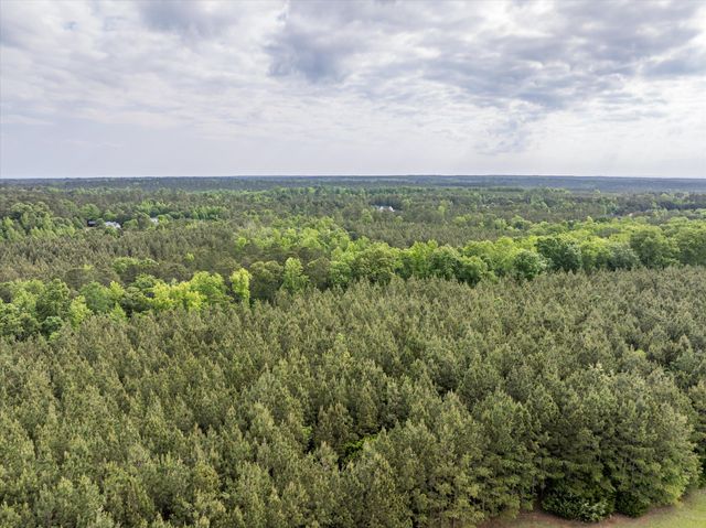 5750 Cobbham Road, Appling, GA 30802