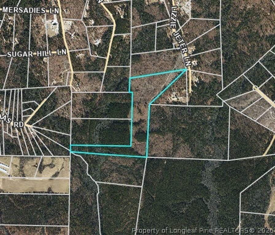 Image 1 of property listing at 0 Lizzie Jeter Lane, Cameron, NC 28326