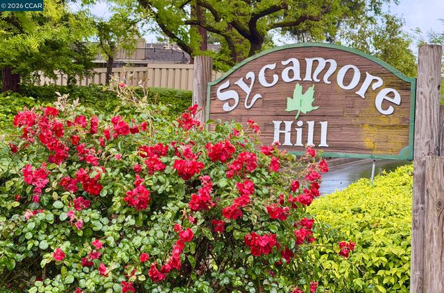 327 Sycamore Hill Ct, Danville, CA 94526