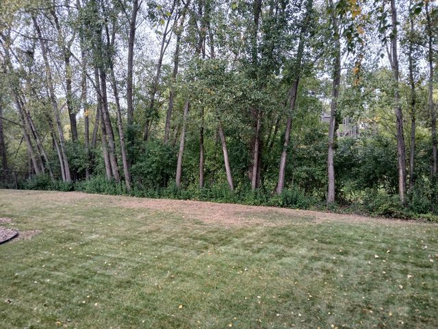 9040 Parkside Drive, Woodbury, MN 55125