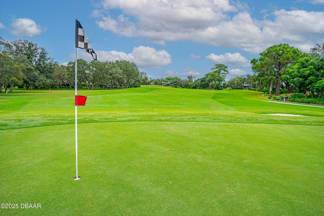 727 Grape Ivy Lane, New Smyrna Beach, FL 32168