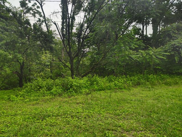 363 Wildcat Ln, Lafayette, TN 37083