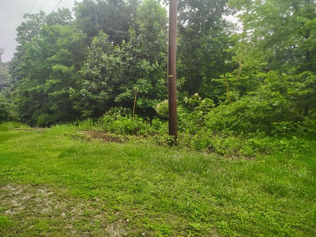 363 Wildcat Ln, Lafayette, TN 37083