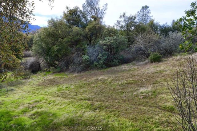 40740 Road 425A, Oakhurst, CA 93644