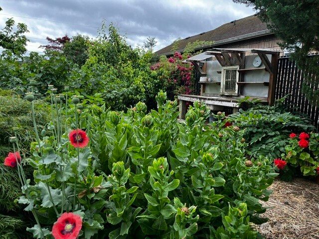505 Waldron Street, Sedro Woolley, WA 98284