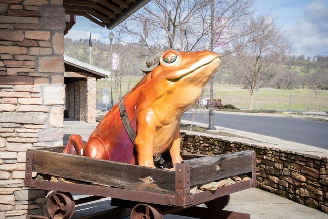 3570-3670 Stagecoach Rd, Copperopolis, CA 95228