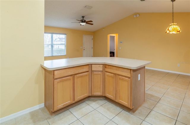 1994 ORANGEBURG TERRACE, The Villages, FL 32162