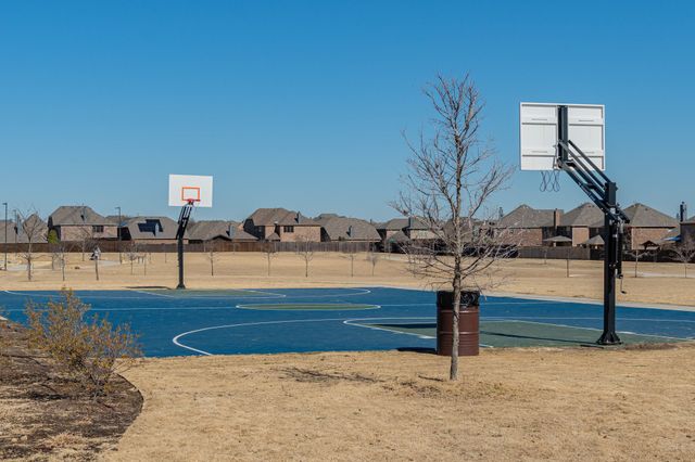 10112 Old Eagle River Lane, Mckinney, TX 75072