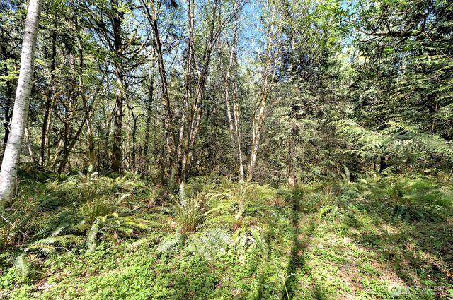 19381 E State Highway 3, Allyn, WA 98524