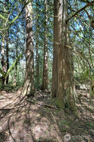 19381 E State Highway 3, Allyn, WA 98524