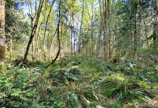 19381 E State Highway 3, Allyn, WA 98524