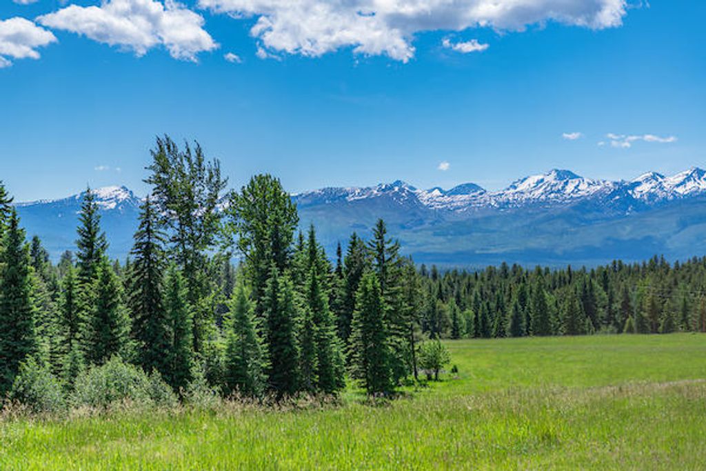 2705 Rumble Creek Road, Condon, MT 59826 photo 11