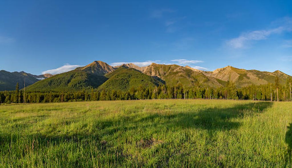 2705 Rumble Creek Road, Condon, MT 59826 photo 12