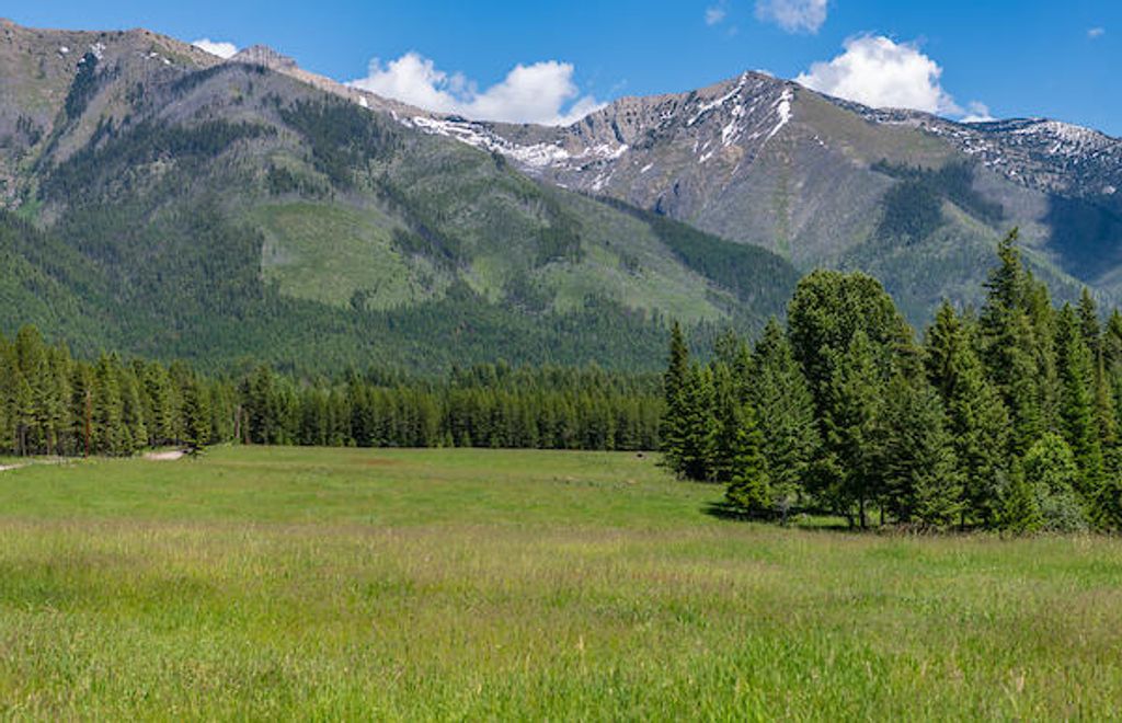 2705 Rumble Creek Road, Condon, MT 59826 photo 13