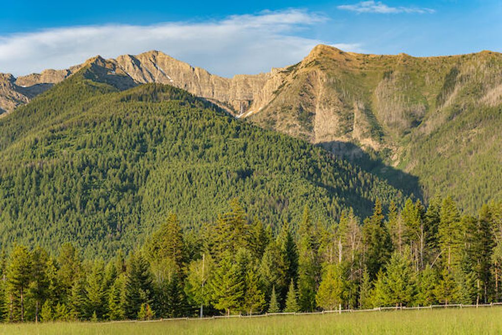 2705 Rumble Creek Road, Condon, MT 59826 photo 14