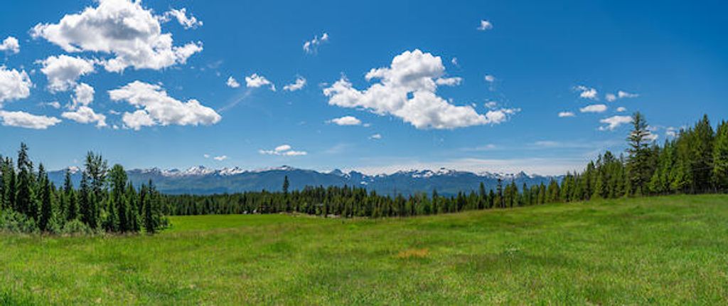 2705 Rumble Creek Road, Condon, MT 59826 photo 15