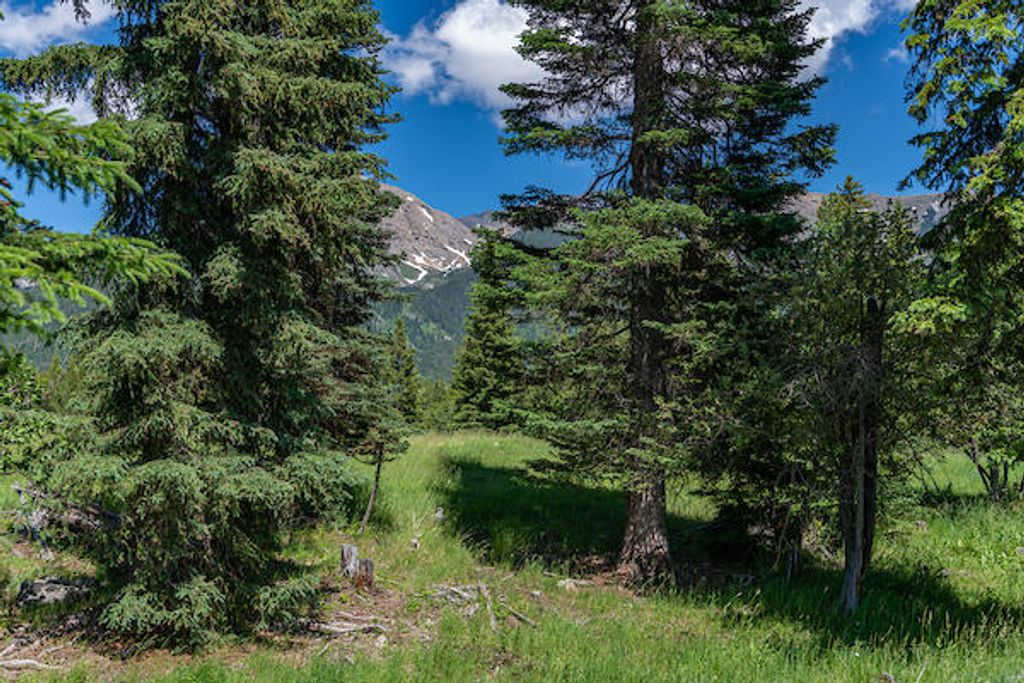 2705 Rumble Creek Road, Condon, MT 59826 photo 17