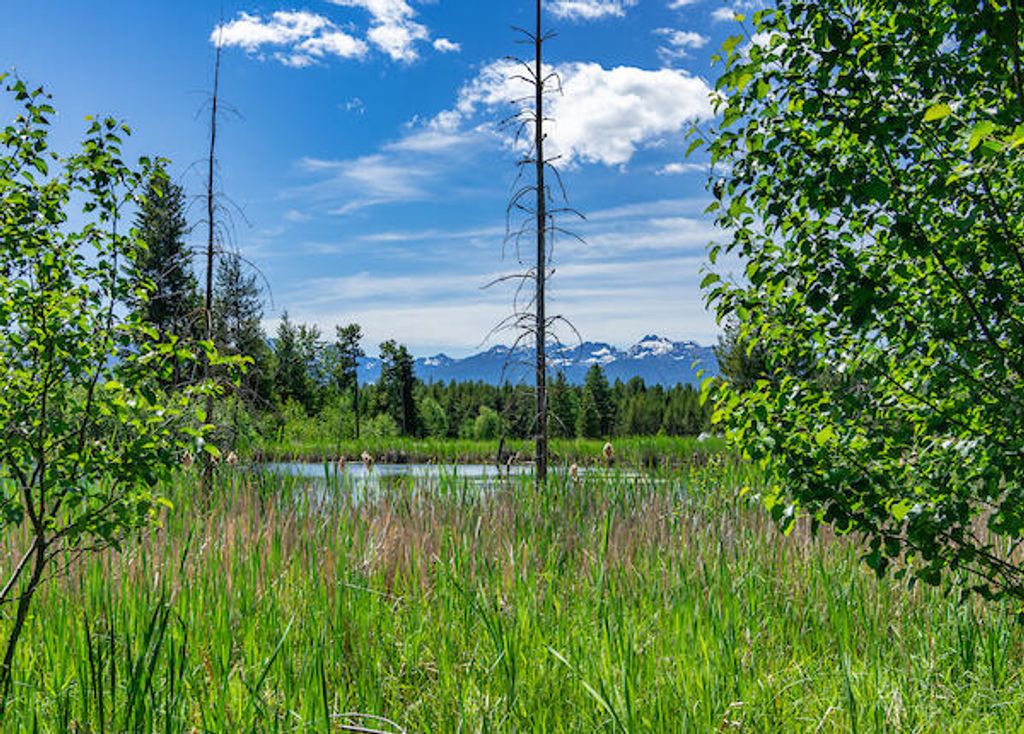 2705 Rumble Creek Road, Condon, MT 59826 photo 18