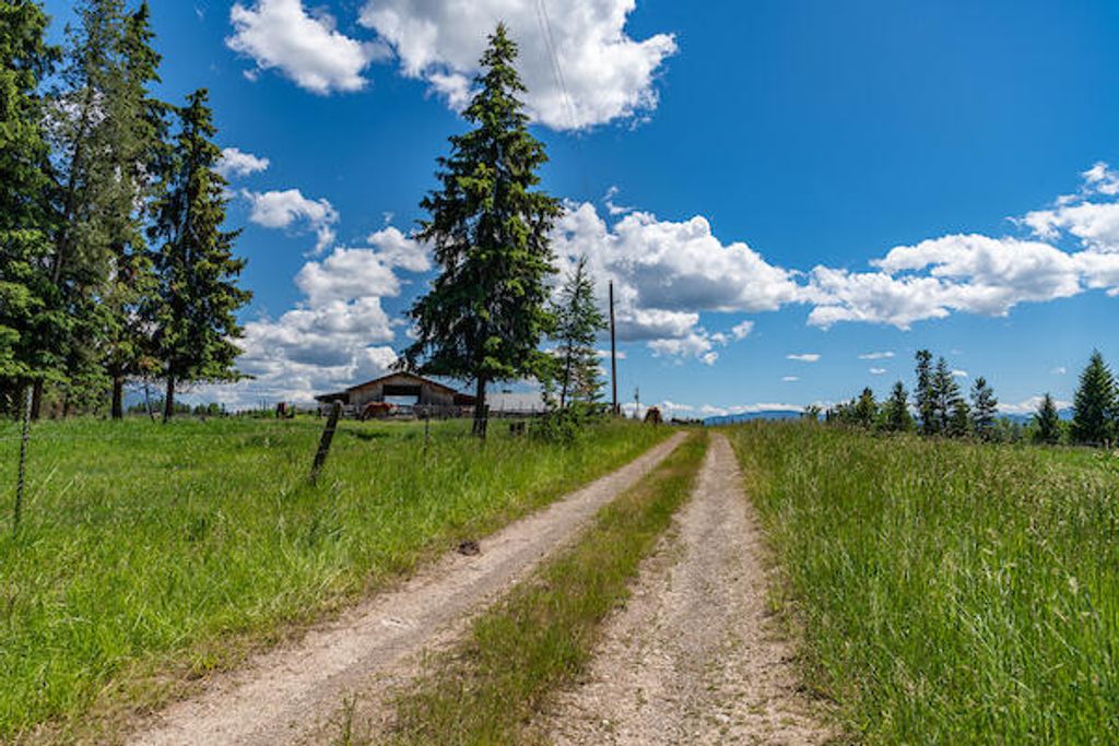 2705 Rumble Creek Road, Condon, MT 59826 photo 20