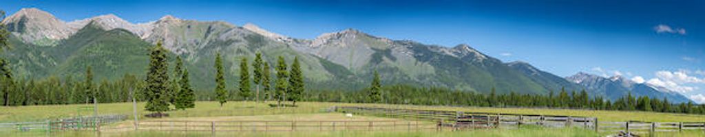 2705 Rumble Creek Road, Condon, MT 59826 photo 21