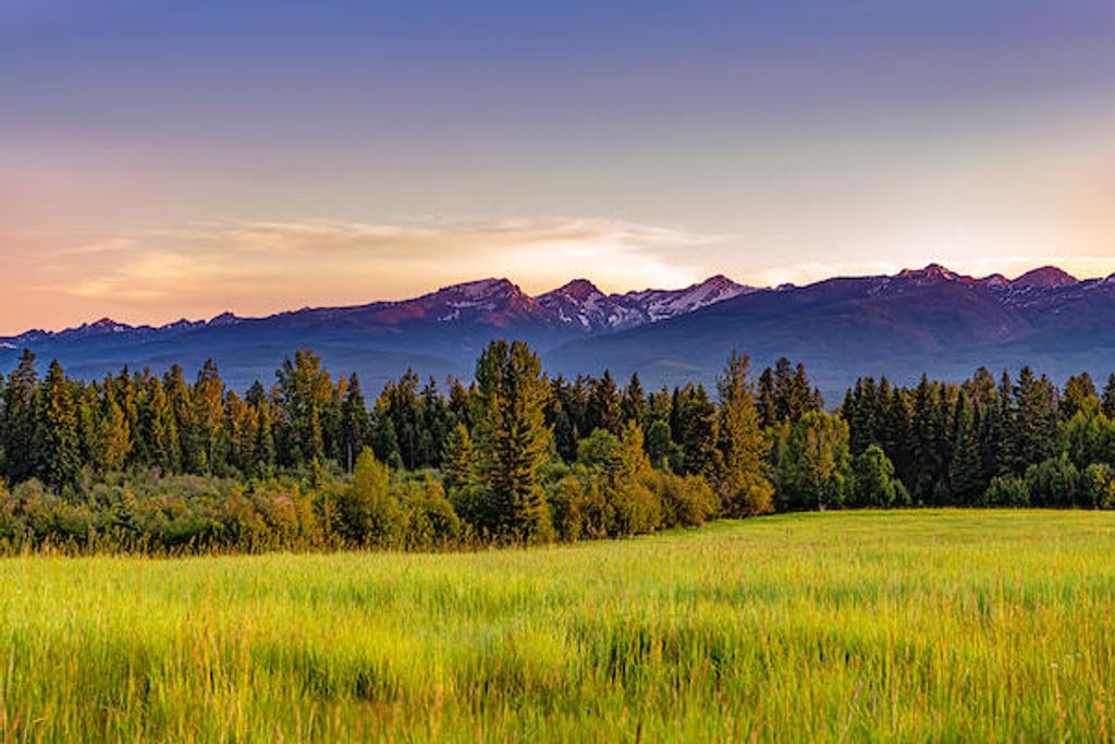 2705 Rumble Creek Road, Condon, MT 59826 photo 24