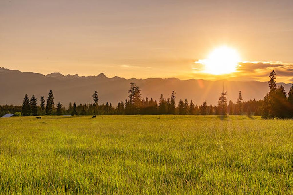 2705 Rumble Creek Road, Condon, MT 59826 photo 25