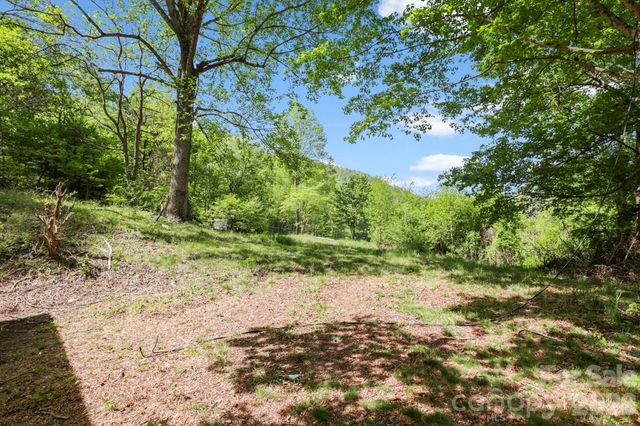 1007 N Fork Road, Barnardsville, NC 28709