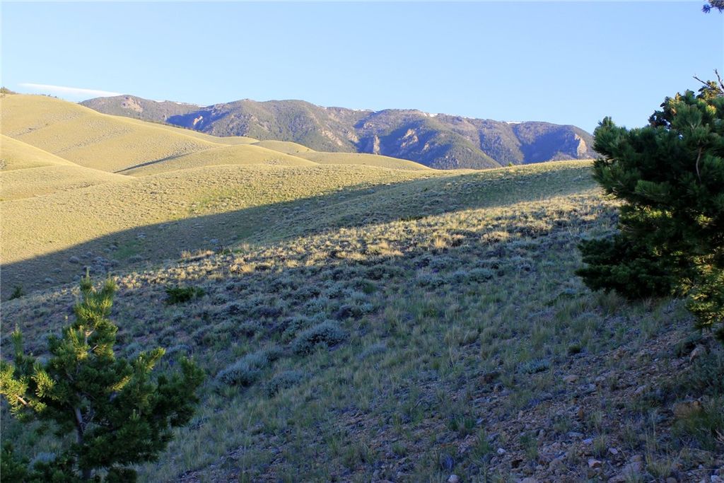 NHN Mill Draw Overlook, Belfry, MT 59008 photo 12